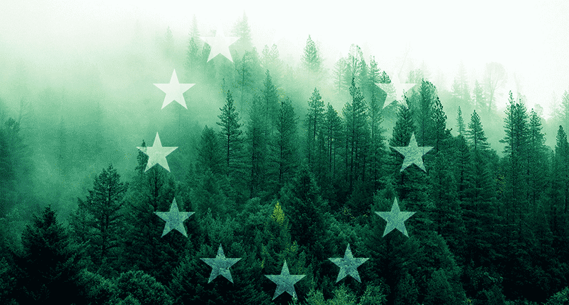 eu logo over green forest