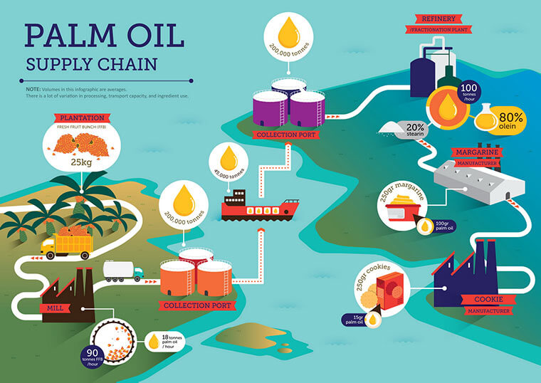 palm oil production information