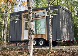 tiny house in the woods